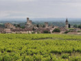 /album/10-mai-2026-aigueze/20260510-102909-copie-jpg/